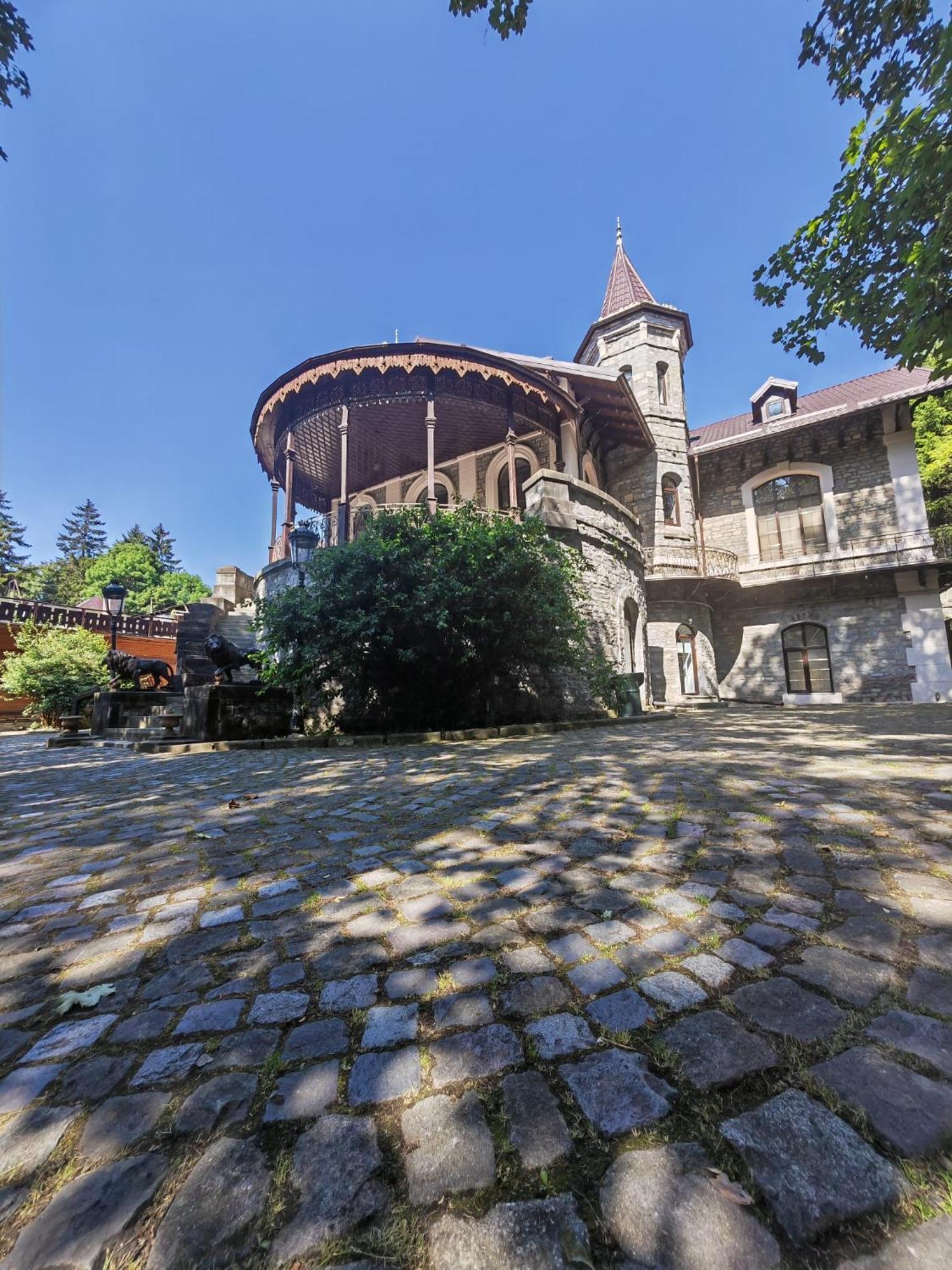 Castelul Stirbey Hotell Sinaia Exteriör bild
